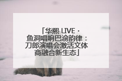 华熙 LIVE・鱼洞唱响巴渝韵律：刀郎演唱会激活文体商融合新生态